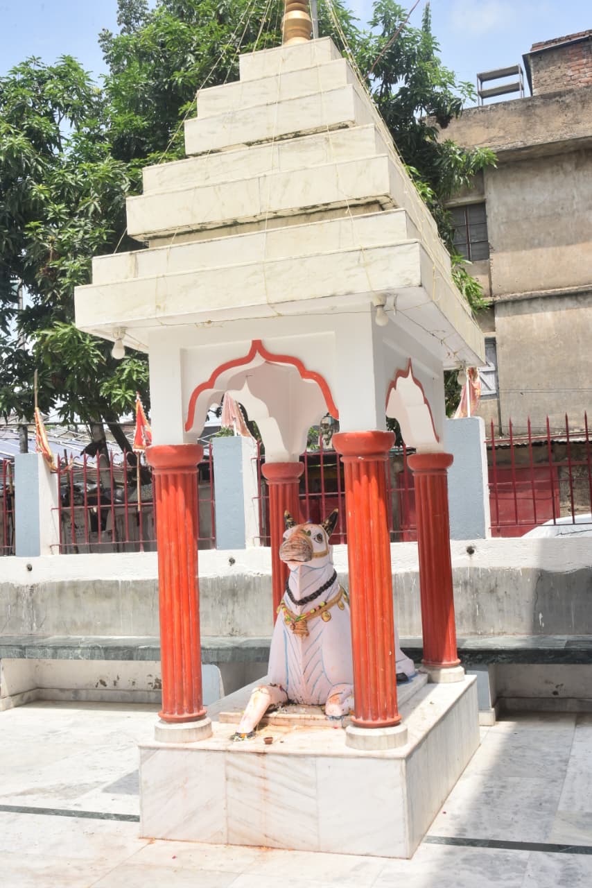 नंदी महाराज